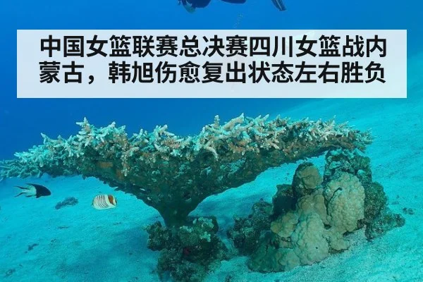 中国女篮联赛总决赛四川女篮战内蒙古，韩旭伤愈复出状态左右胜负